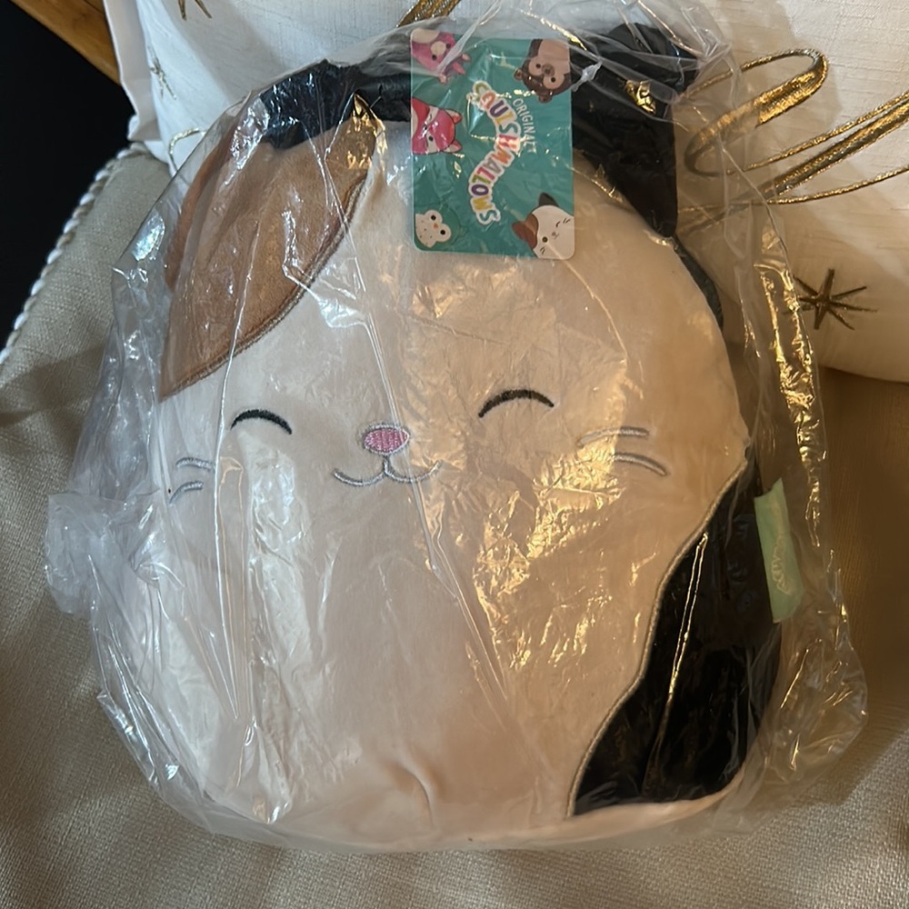 Rare NWT Squishmallow Cam 12” Backpack